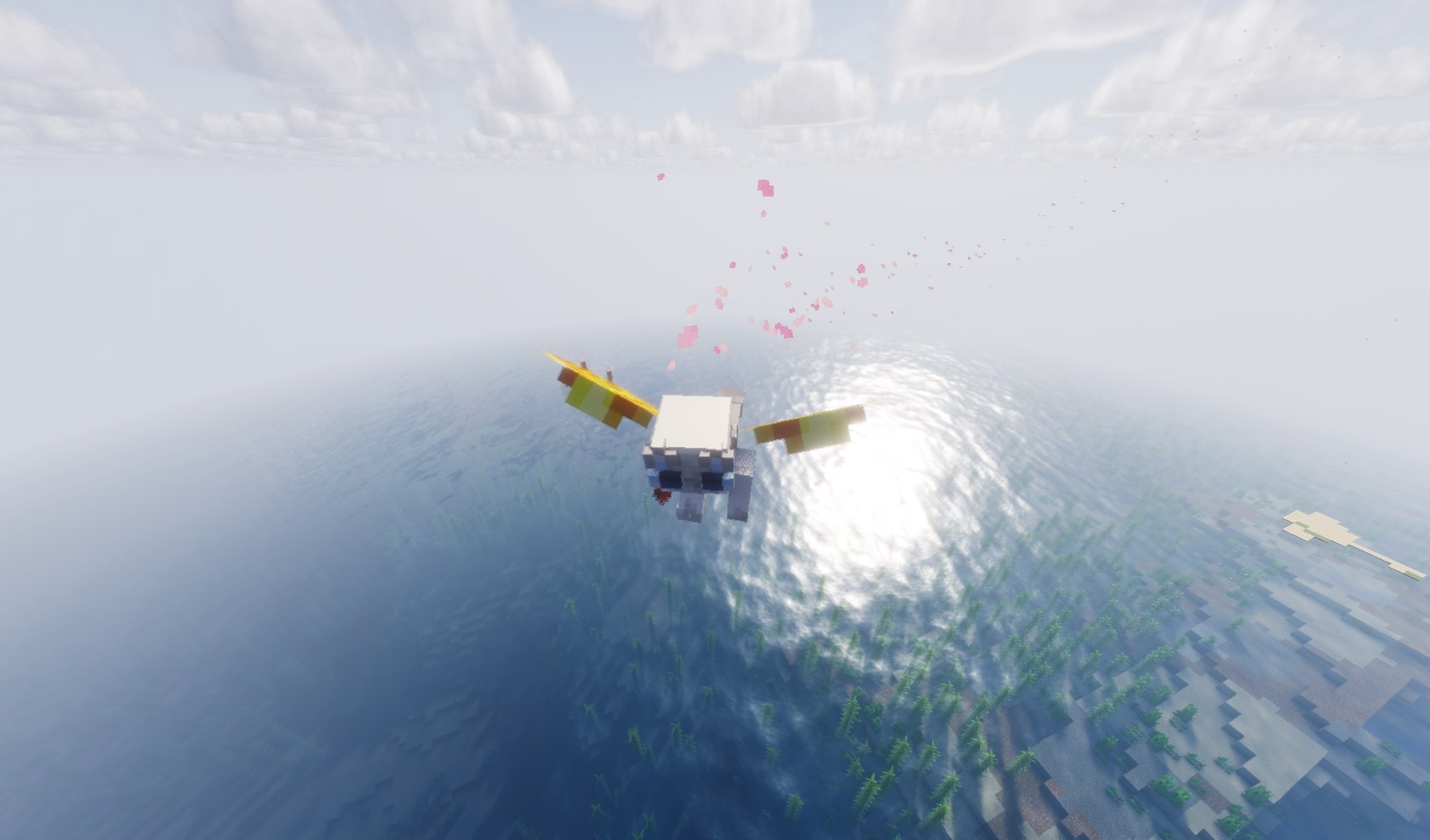 Картинка из галереи